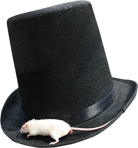 Magician Top Hat Png With White Mouse - Rat Clipart (800x600), Png Download