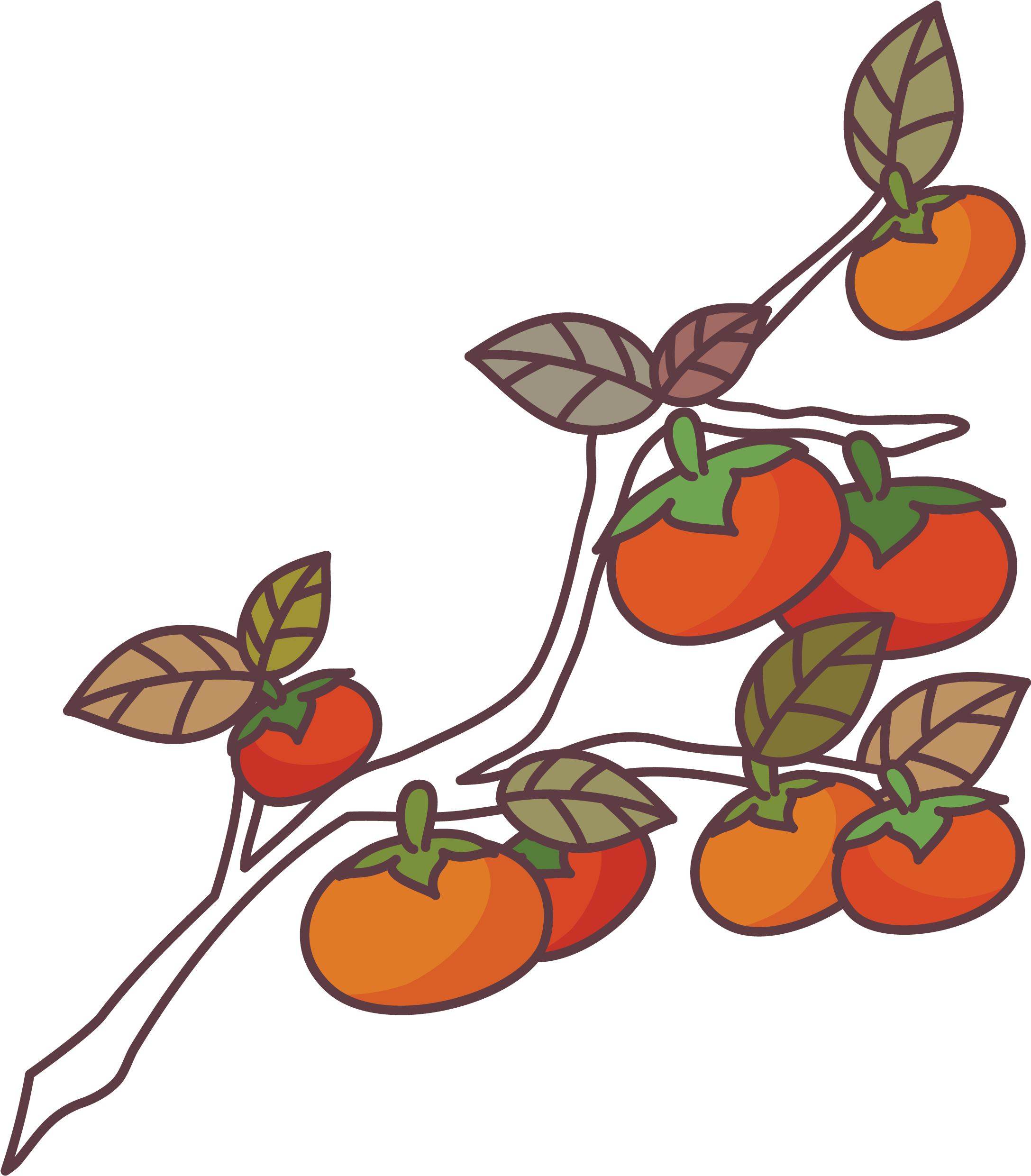 Brush Stroke Cross Png - Persimmon Tree Png Clipart (3417x2880), Png Download