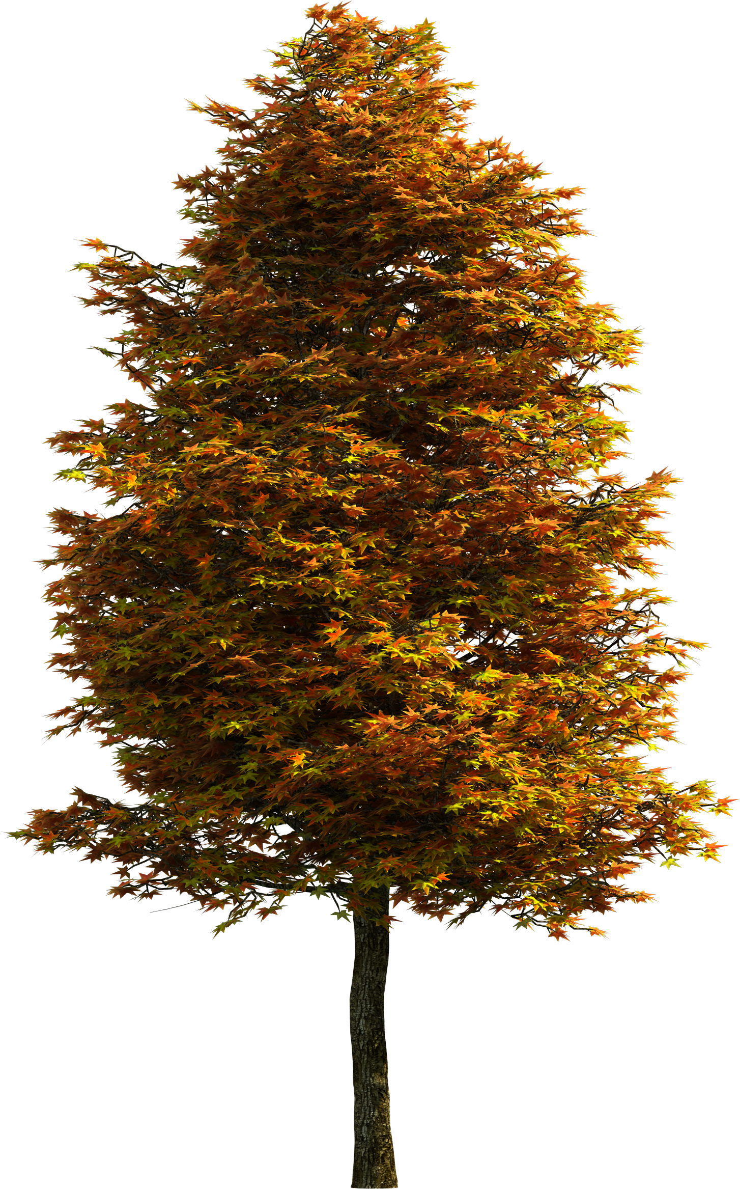 Tree Png Download Free Clipart - Tree Transparent Png (2500x2500), Png Download