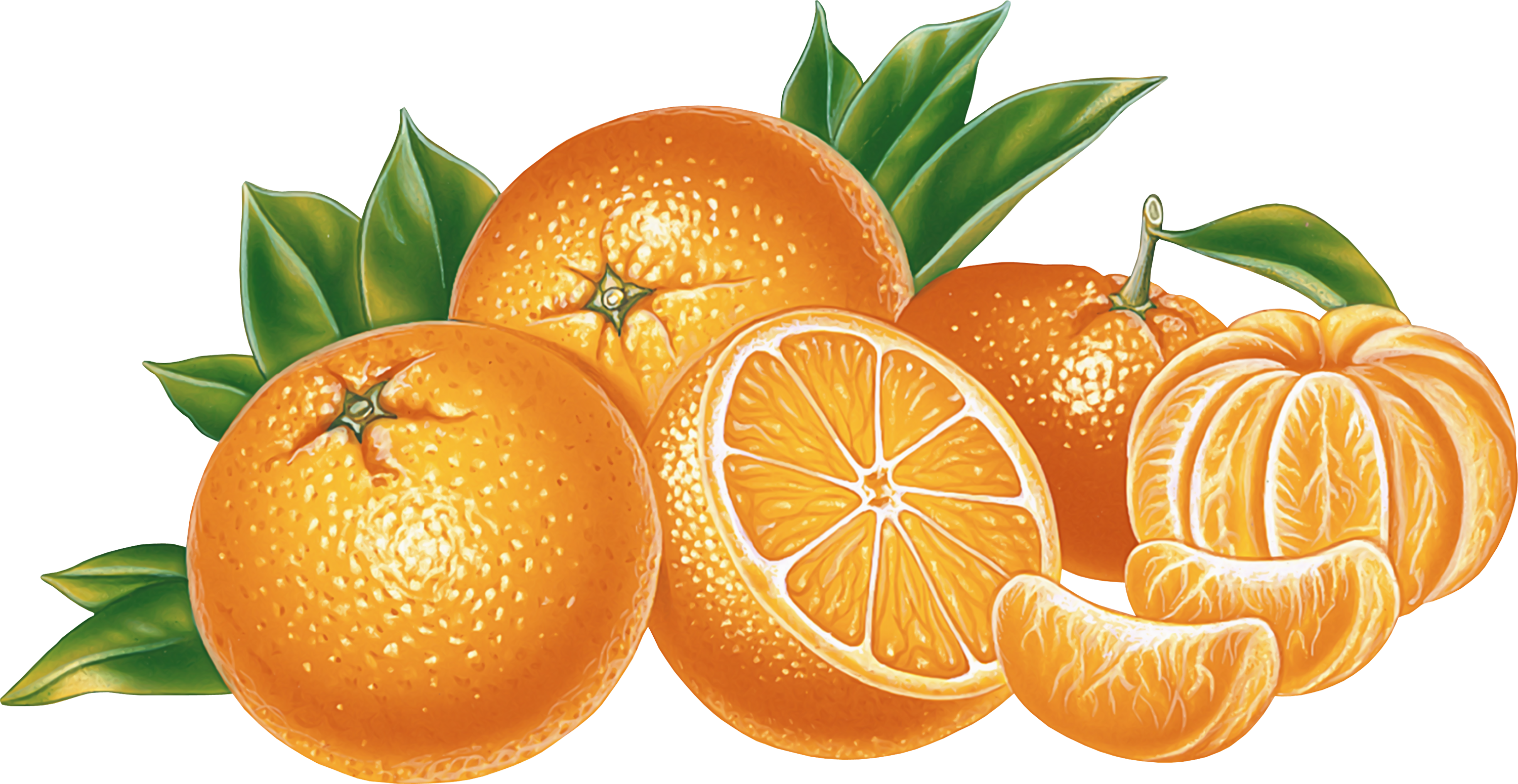 Orange And Mandarin - Png Free Clipart (3000x1550), Png Download