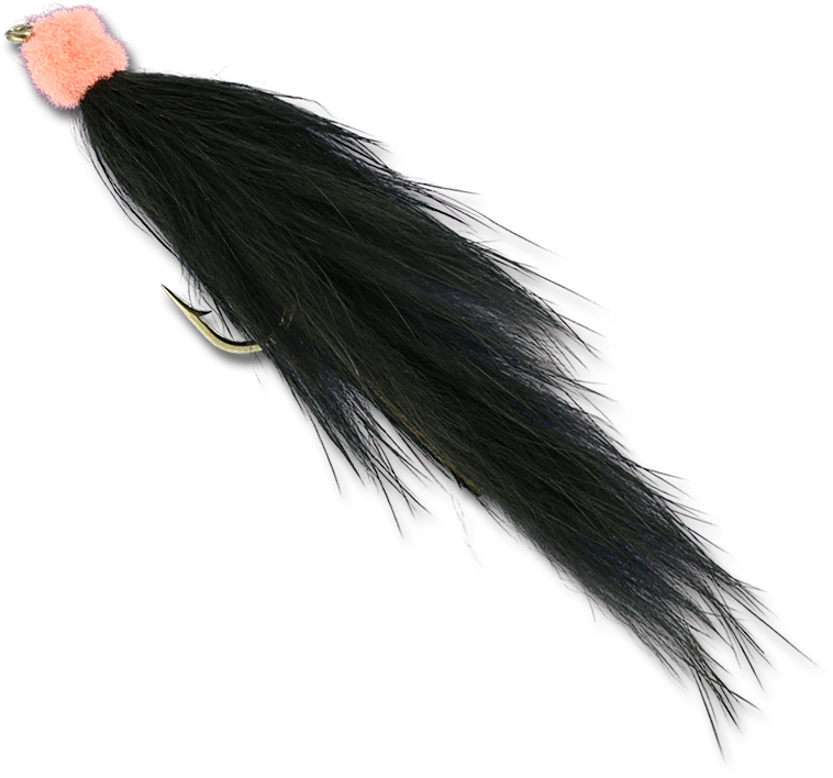 Egg Sucking Bunny Leech - Feather Clipart (800x800), Png Download