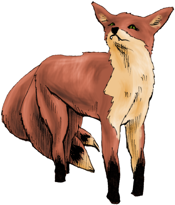 Additional Images - Red Fox Clipart (664x800), Png Download