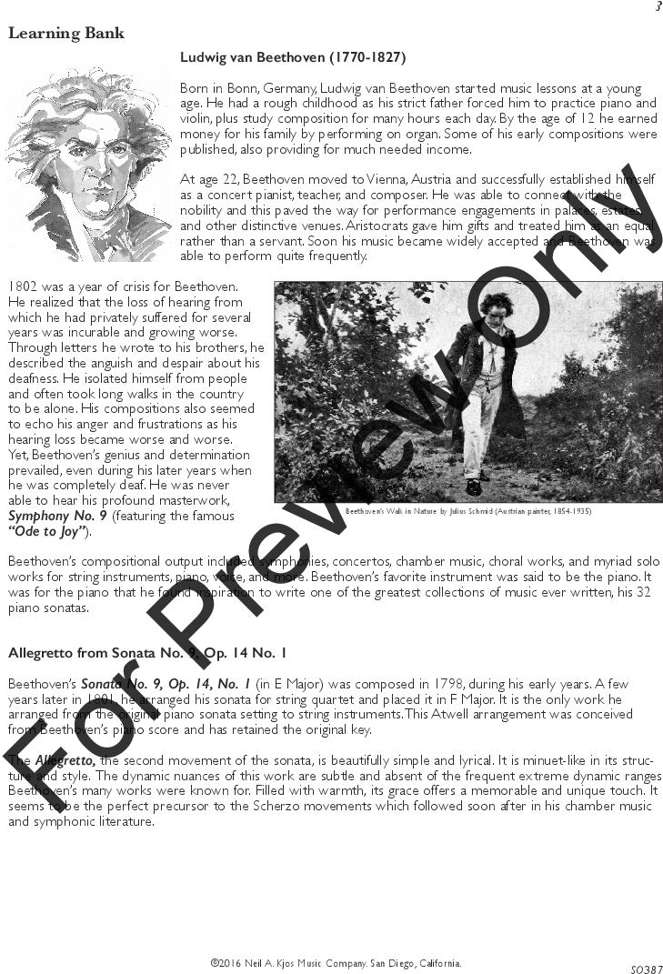 Product Thumbnail 2 - Ludwig Van Beethoven Clipart (888x1176), Png Download