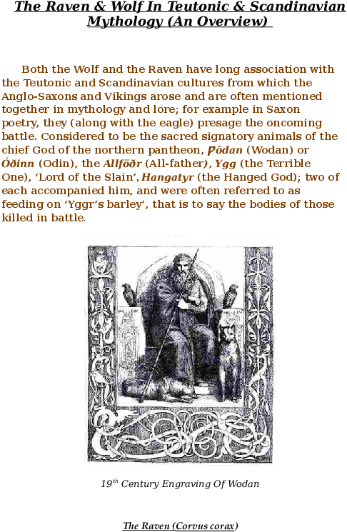 Docx - One Eyed King Odin Clipart (595x842), Png Download