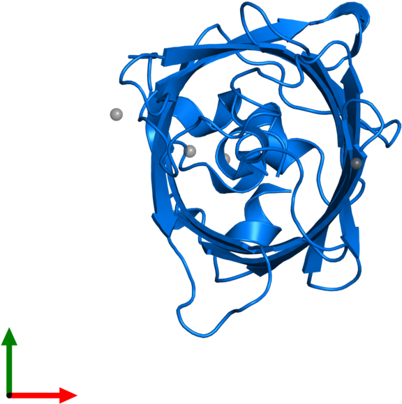 Illustration Clipart (800x800), Png Download