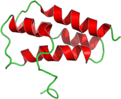 Illustration Clipart (800x600), Png Download