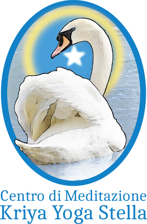 Il Nuovo Centro - Swan Clipart (500x764), Png Download