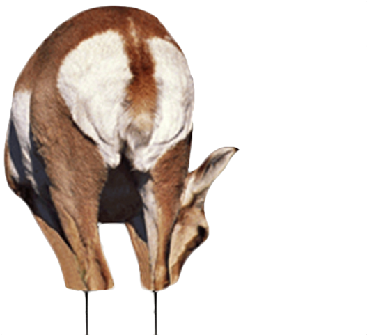 Antelope Clipart (640x480), Png Download