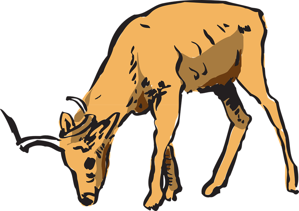 Cartoon Deer Eating Grass Clipart (960x679), Png Download
