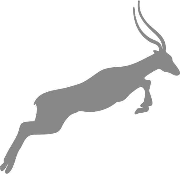 Font Options & Samples - Thomson's Gazelle Clipart (576x556), Png Download