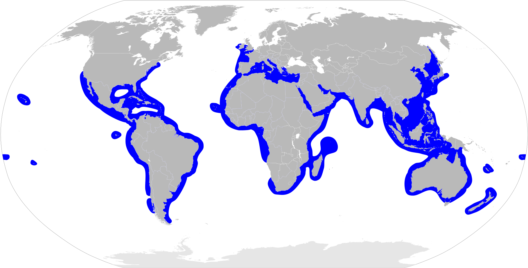 Sphyrnidae Distribution Map - Do Hammerhead Sharks Live Clipart (2000x1015), Png Download
