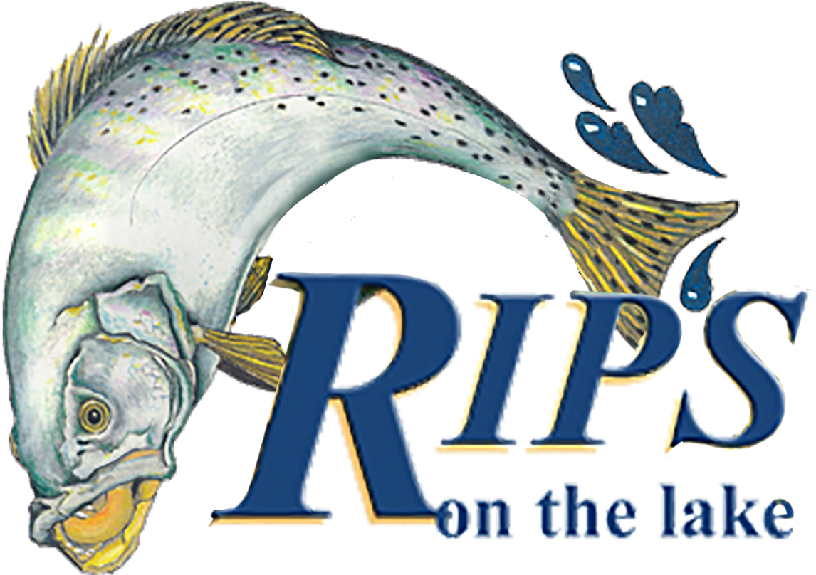 Rips On The Lake - Marine Mammal Clipart (1310x967), Png Download