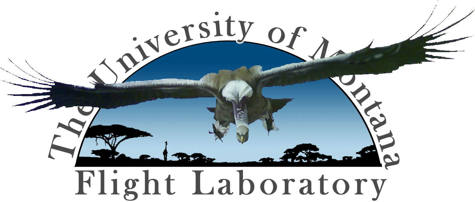 University Of Montana Flight Laboratory - Poster Clipart (1601x696), Png Download