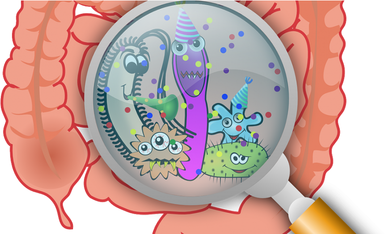 Understanding Hs - Bacterias En Tracto Gastrointestinal Clipart (877x470), Png Download