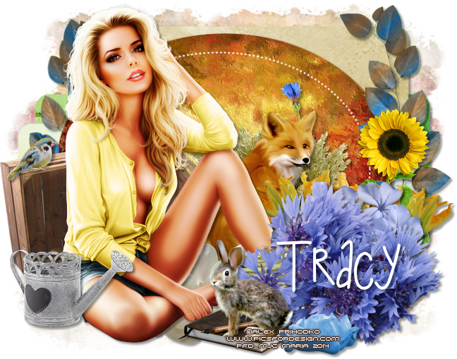 Photo Wheatfieldbeautytracy - Sunflower Clipart (648x509), Png Download
