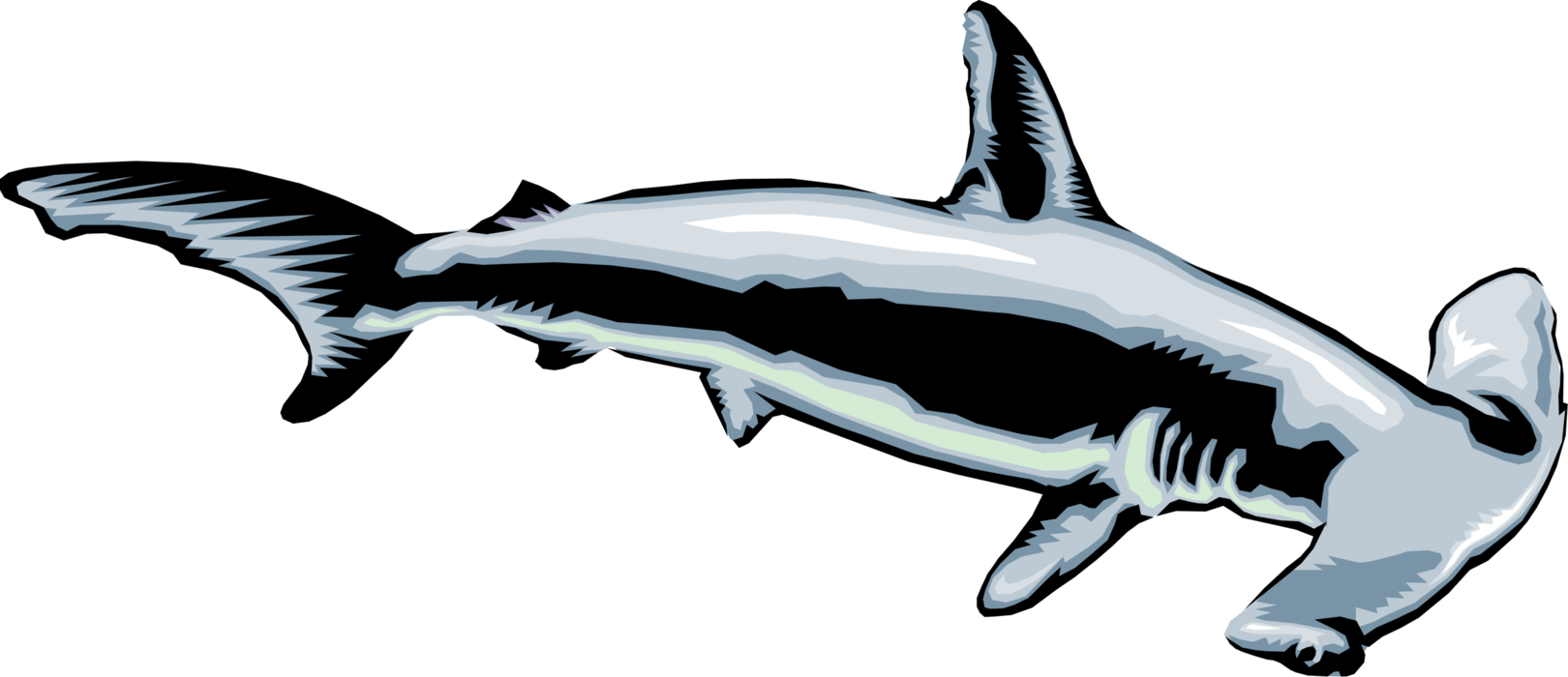 Clip Transparent Download Hammerhead Image Illustration - Clip Art Hammer Head Shark - Png Download (1620x700), Png Download