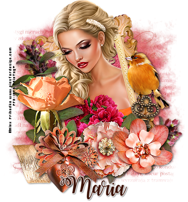 Mariatende-vi From Amela - Garden Roses Clipart (655x655), Png Download