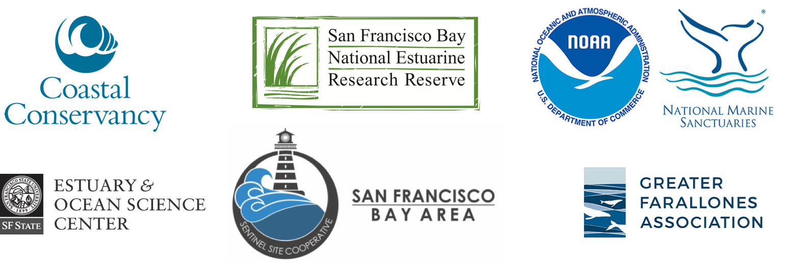 Together, These Living Shorelines Workshops Are Organized - Graphic Design Clipart (1540x516), Png Download