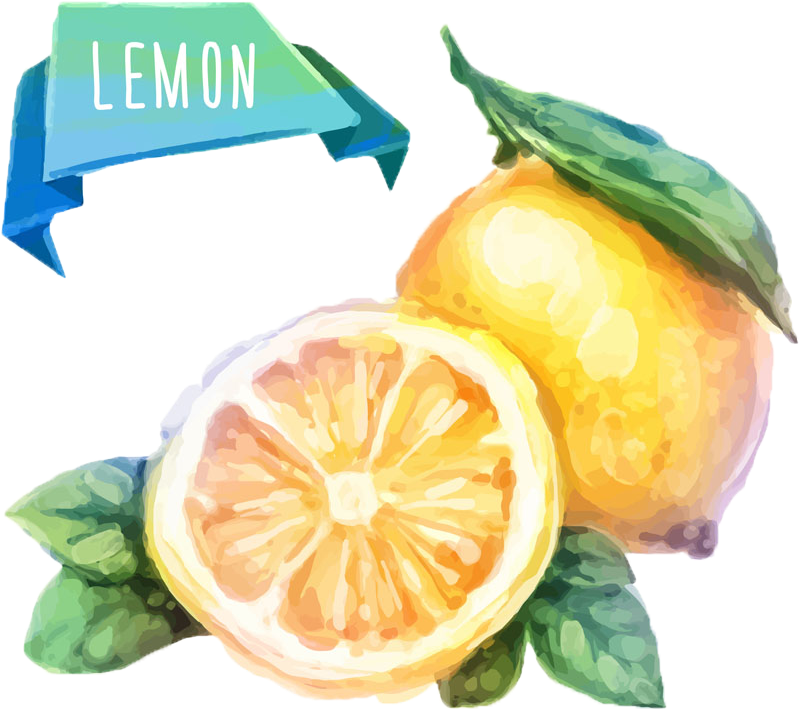 Watercolor Painting Fruit Drawing Illustration - 水彩 檸檬 Clipart (799x709), Png Download