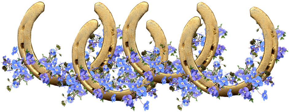 Horse Shoes, Lucky, Blue Flowers, Decoration, Symbol - Floral Design Clipart (960x399), Png Download