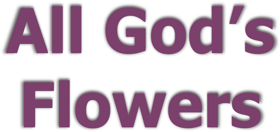 All God's Flowers - University Of The Sciences Clipart (1541x711), Png Download
