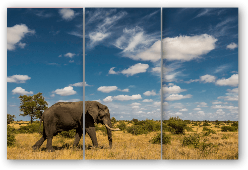 Triptych Elephant Sky - Indian Elephant Clipart (1000x727), Png Download