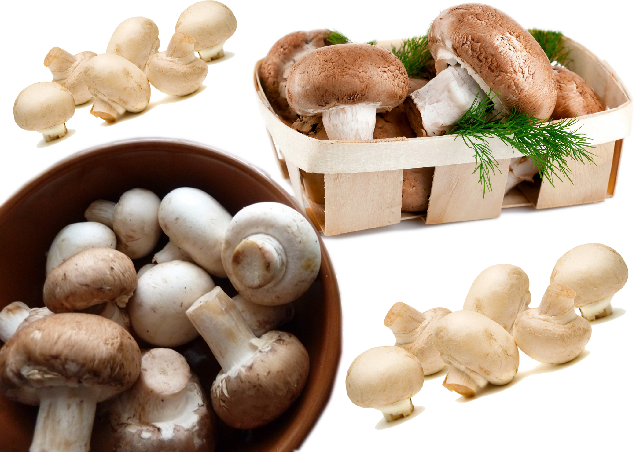 Mashroom - Mushroom Vegetable Clipart (2081x1480), Png Download