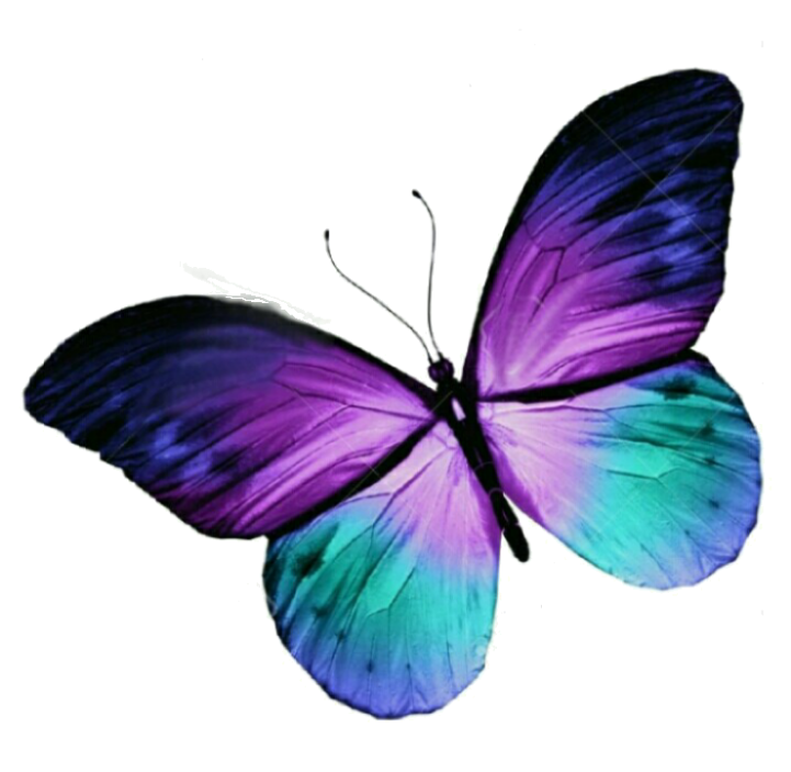 Butterfly Tattoo Purple Blue Free Hq Image Clipart - Purple And Teal Butterfly - Png Download (720x764), Png Download