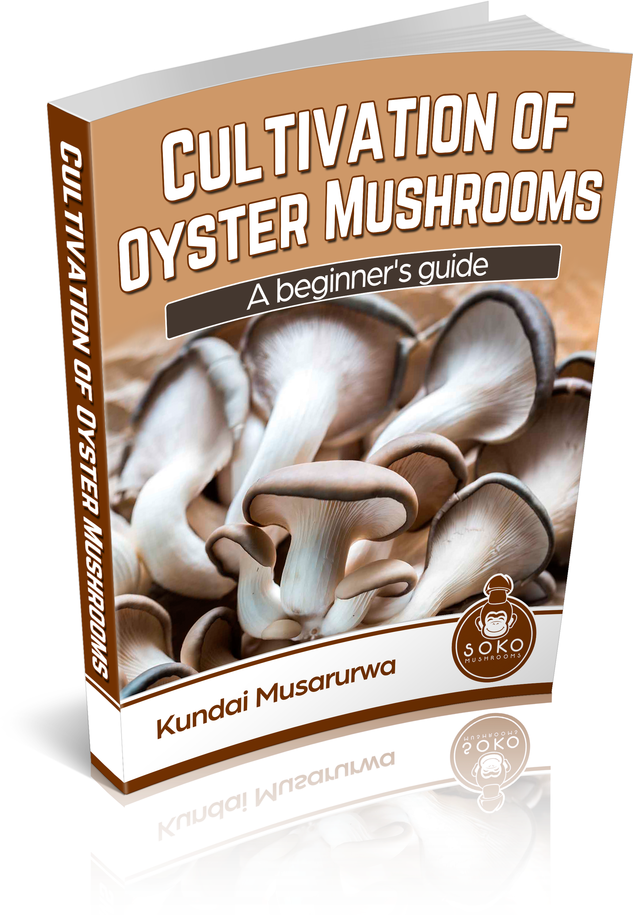 Oyster Mushrooms Manual Available - Flyer Clipart (2850x3300), Png Download