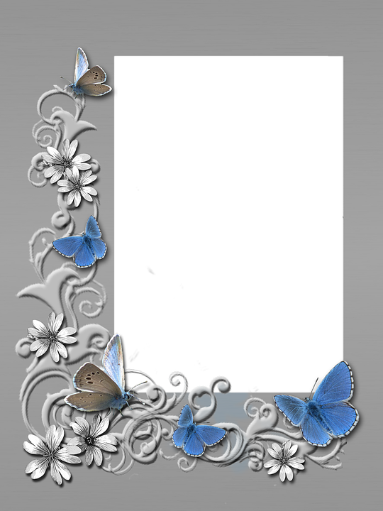 Frame Photo Grey Butterflies Paper Photoshop - Illustration Clipart (540x720), Png Download