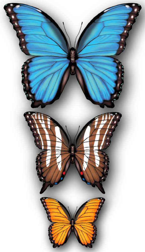 Butterflies - Papilio Clipart (577x1000), Png Download