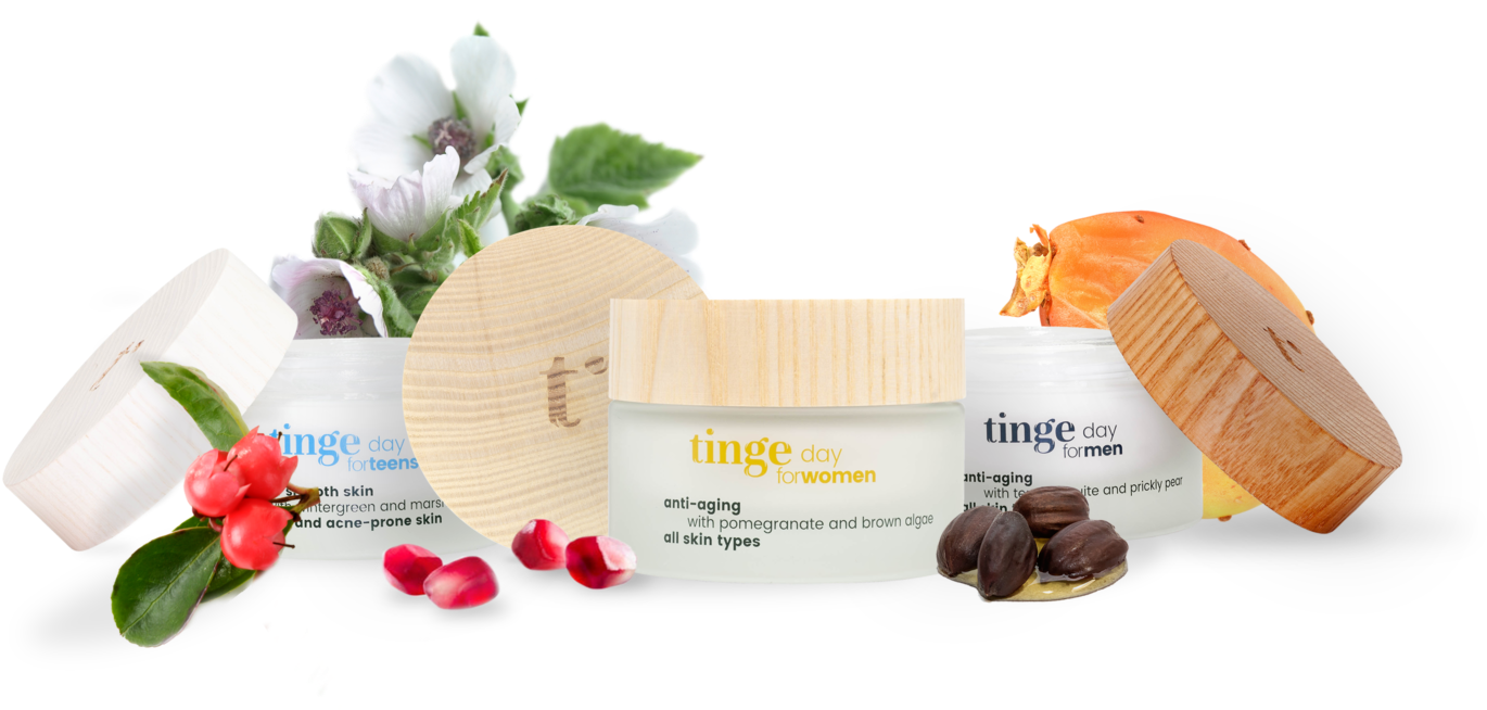 Tinge Is An All-natural Cosmetics Brand From Antwerp, - Macaroon Clipart (1600x800), Png Download