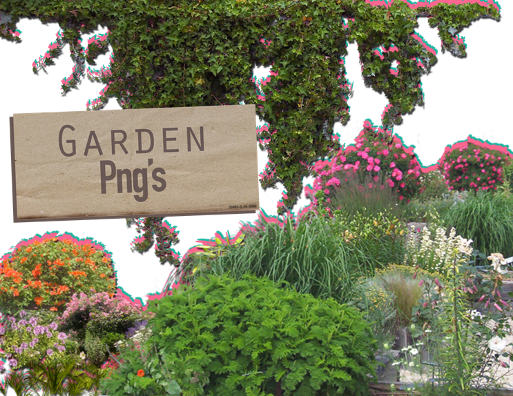 Garden Png Pic - Garden Png Clipart (743x574), Png Download
