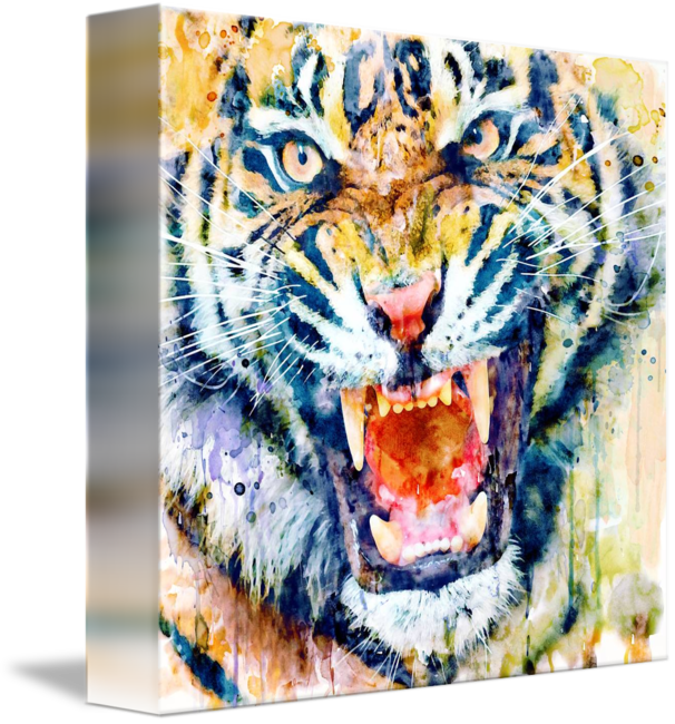 "tiger Face Watercolor Closeup" By Marian Voicu, Bucharest - Watercolor Painting Clipart (606x650), Png Download