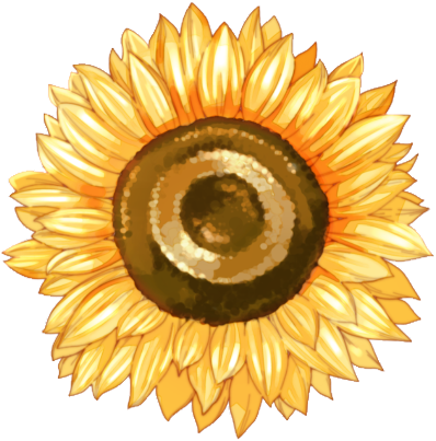 Sunflower Clipart (681x480), Png Download