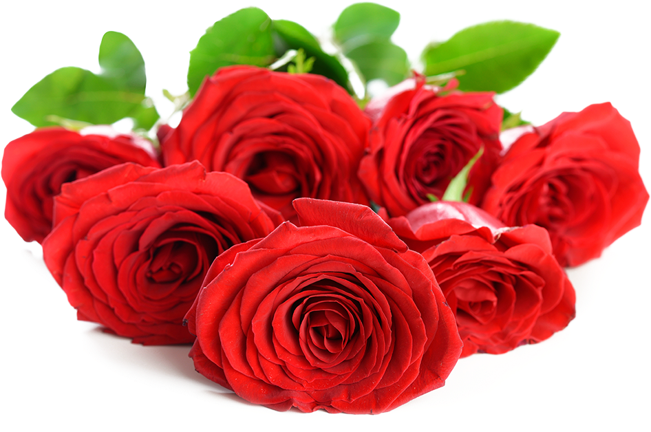 Wallpaper - Rose Flowers Wallpaper Png Clipart (1024x990), Png Download