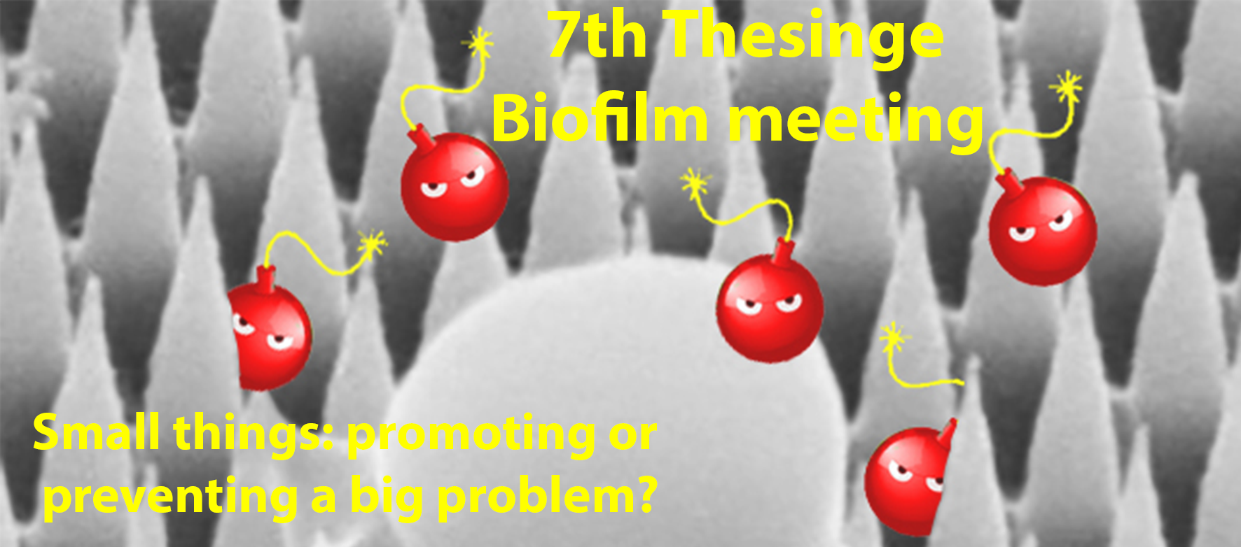 The 7th Thesinge Biofilm Meeting - Cherry Tomatoes Clipart (1772x782), Png Download