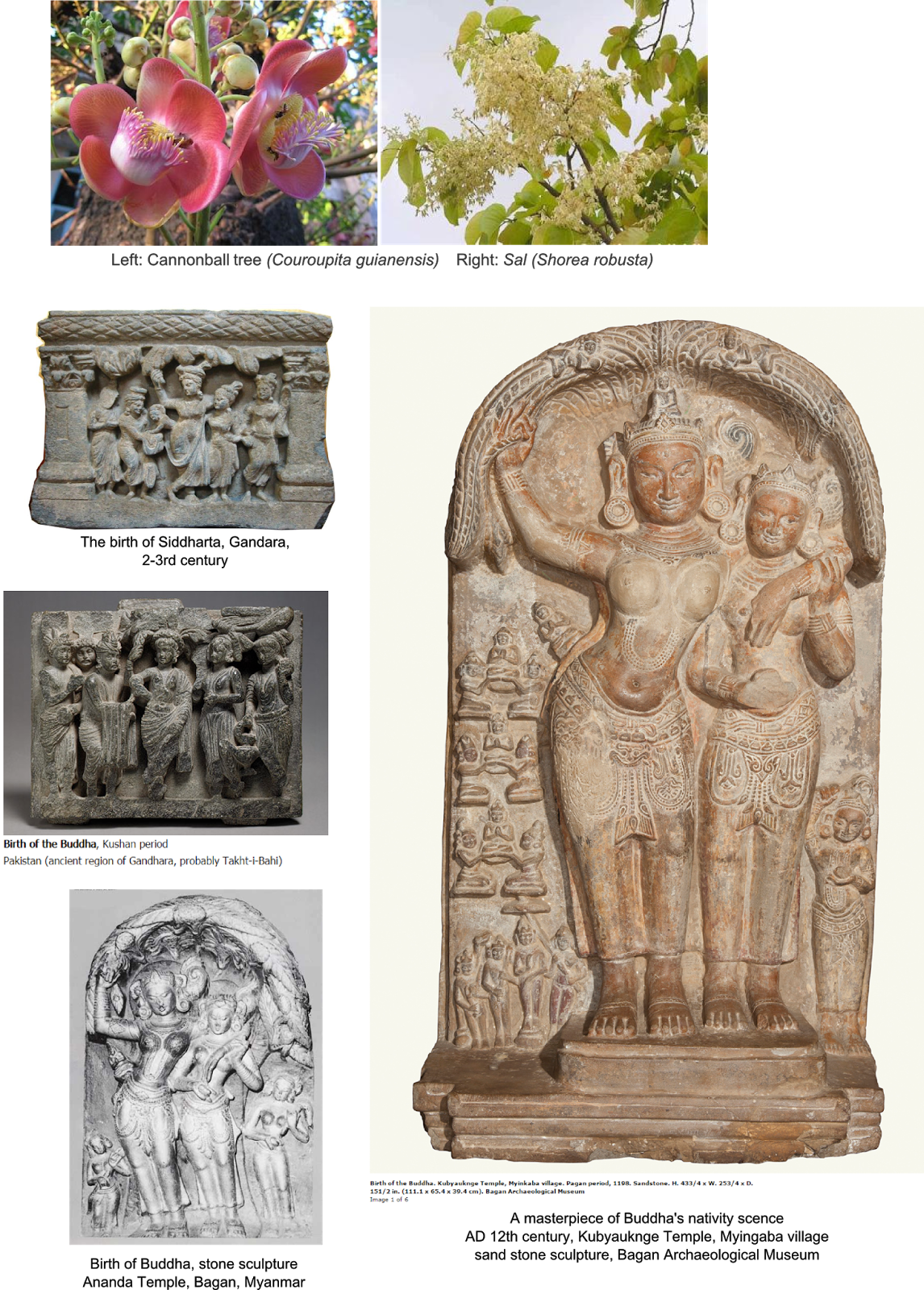 In Asoka A Cultural And Scientific Evauation, 1972, - Birth Of The Buddha Clipart (1146x1600), Png Download