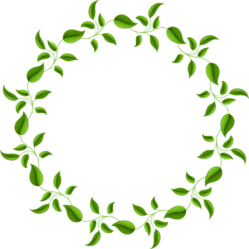 #leaves #frame #circleframe #border #ftestickers - Transparent Circle Leaf Border Clipart (800x800), Png Download