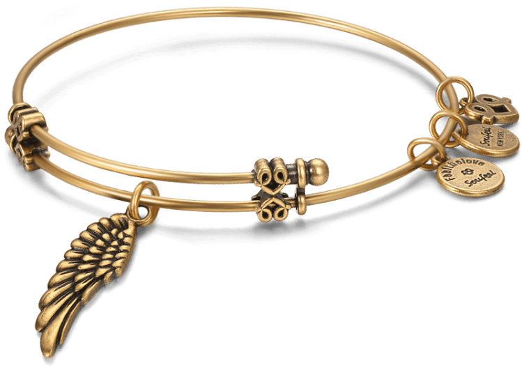 Fashion Charm Bangles Soufeel Angel Wings Charm Bangle - Bracelet Clipart (749x525), Png Download