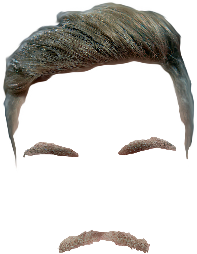 #meis7er On Twitter - Marine Mammal Clipart (1200x1200), Png Download