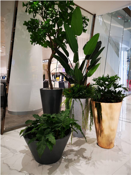 Fiberglass Round Flower Pot, Fiber Glass Pot Icon Siam - Houseplant Clipart (600x600), Png Download