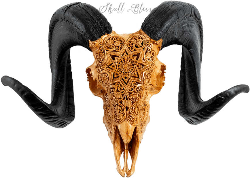 Carved Ram Skull - Horn Clipart (1024x1023), Png Download