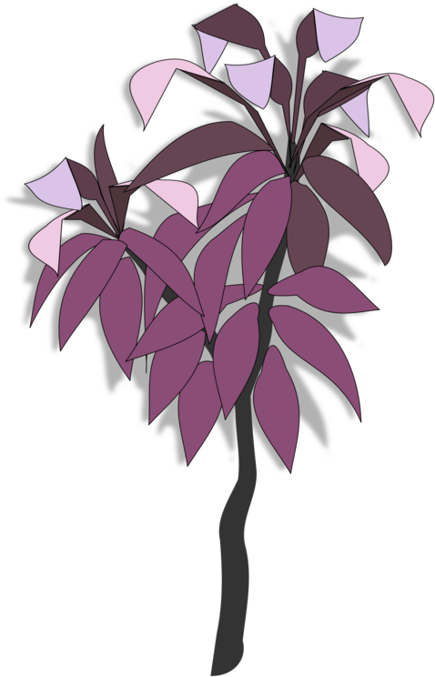 Common Grape Vine Leaf Plants Drawing Branch Clipart (750x750), Png Download
