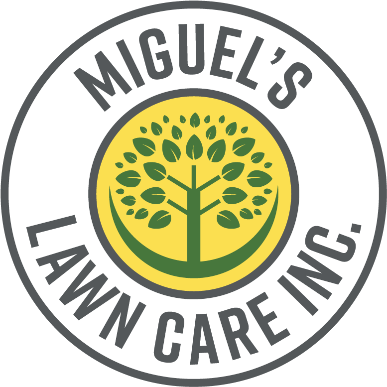 Home - Circle Clipart (1806x792), Png Download