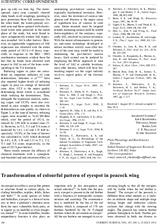 Pdf - Folio Eleven From Burchard Of Sion's De Locis Ac Mirabilibus Clipart (595x842), Png Download