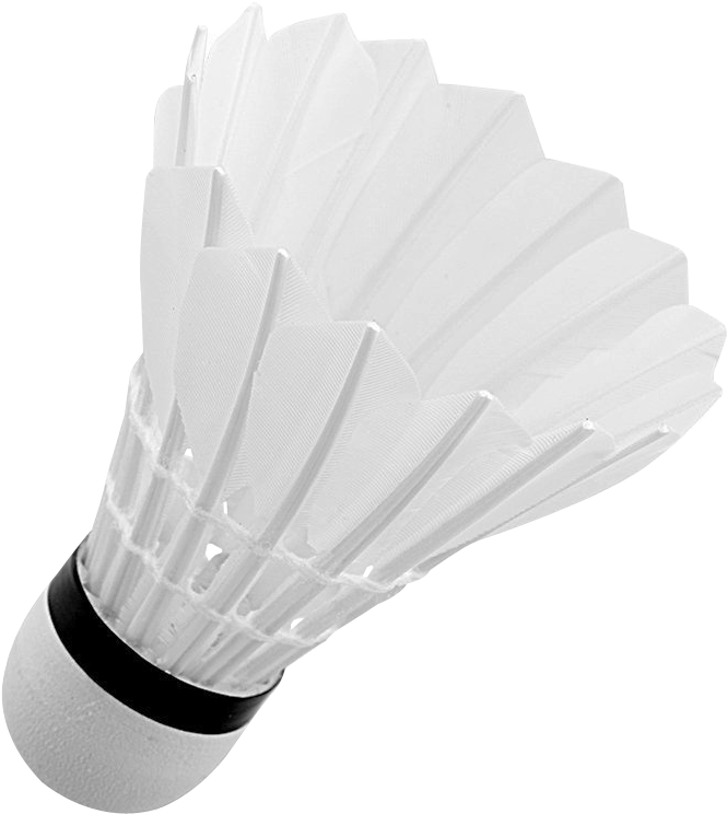 Shuttlecock Png Transparent Image - Badminton Clipart (802x877), Png Download