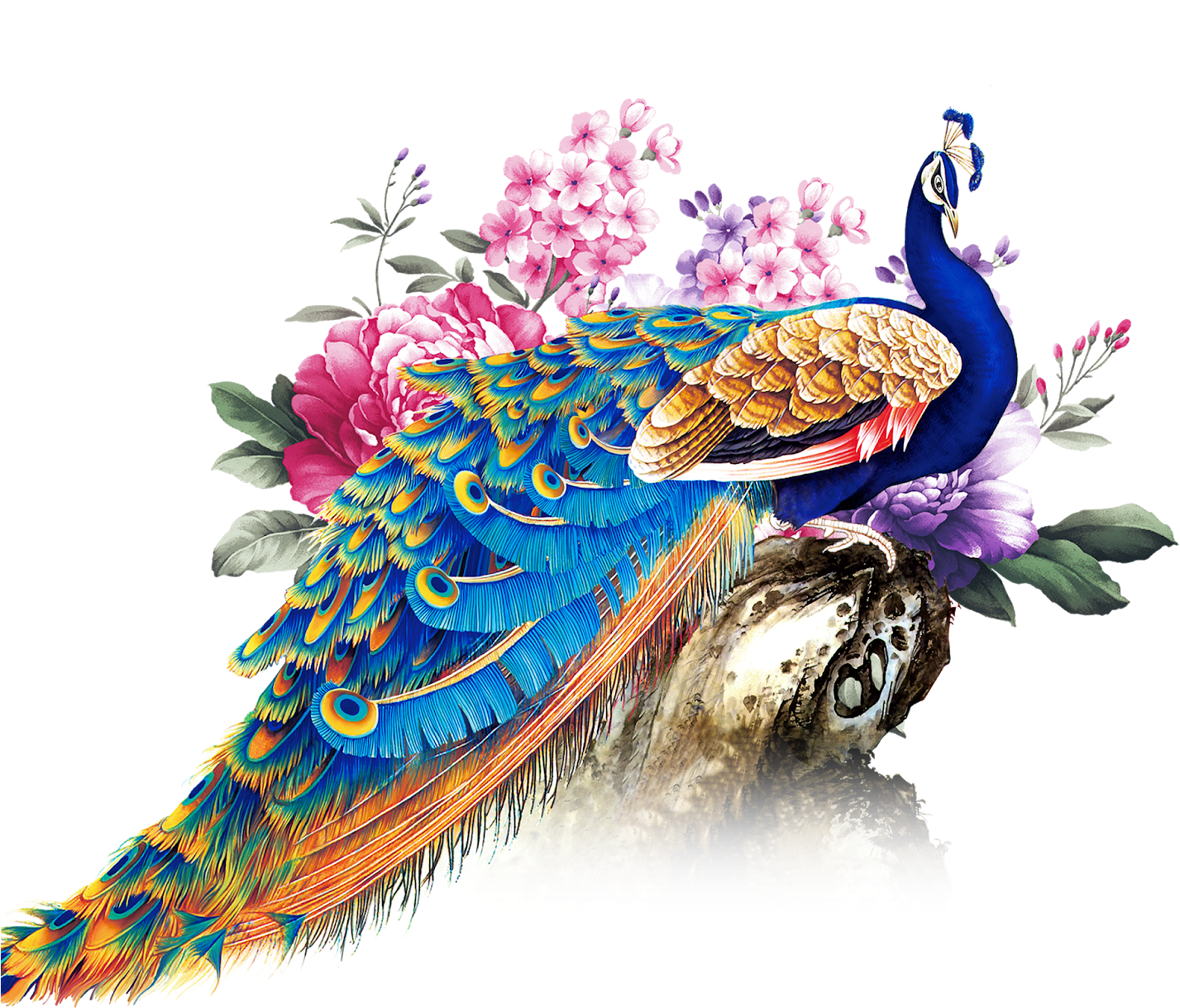 Peacock Decor, Peacock Art, Photo Booth Backdrop, Helmet, - Happy Thaipoosam Cavadee Wishes Clipart (1427x1219), Png Download