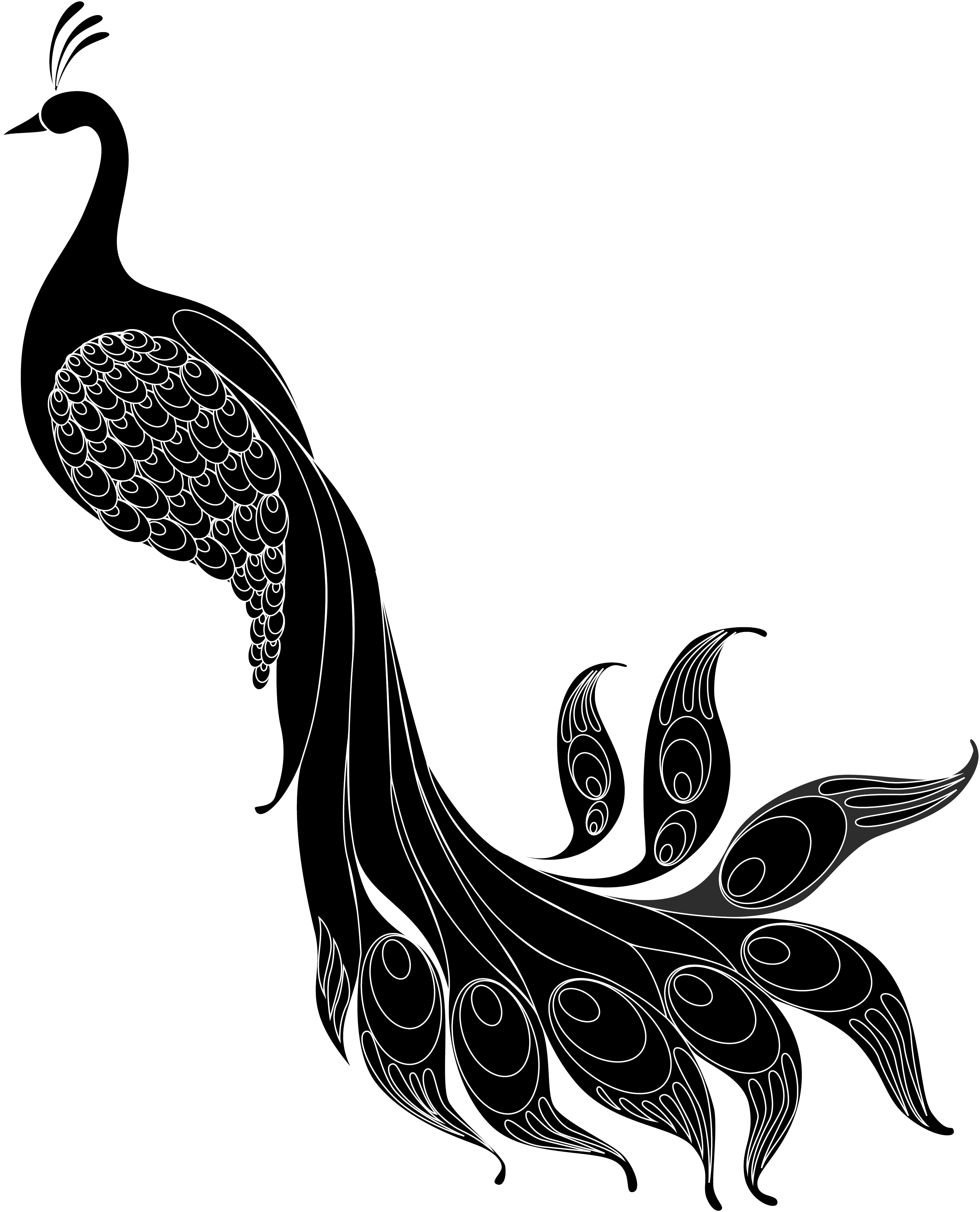 Png B/w - Illustration Clipart (3097x3831), Png Download