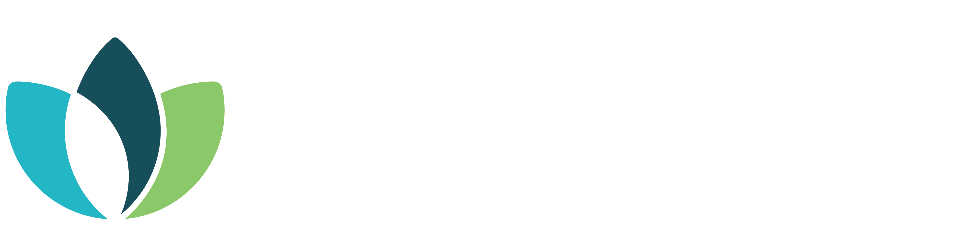 Color Logo And Name With White Text - Black-and-white Clipart (4002x923), Png Download